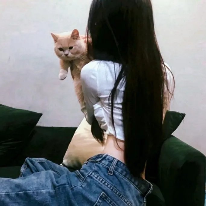 低清老翻王